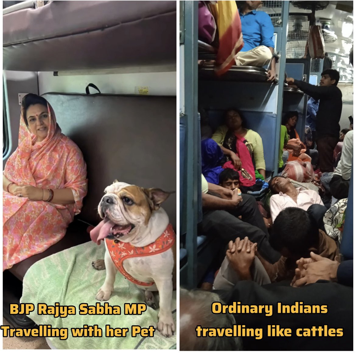 FreeVoice tweet media