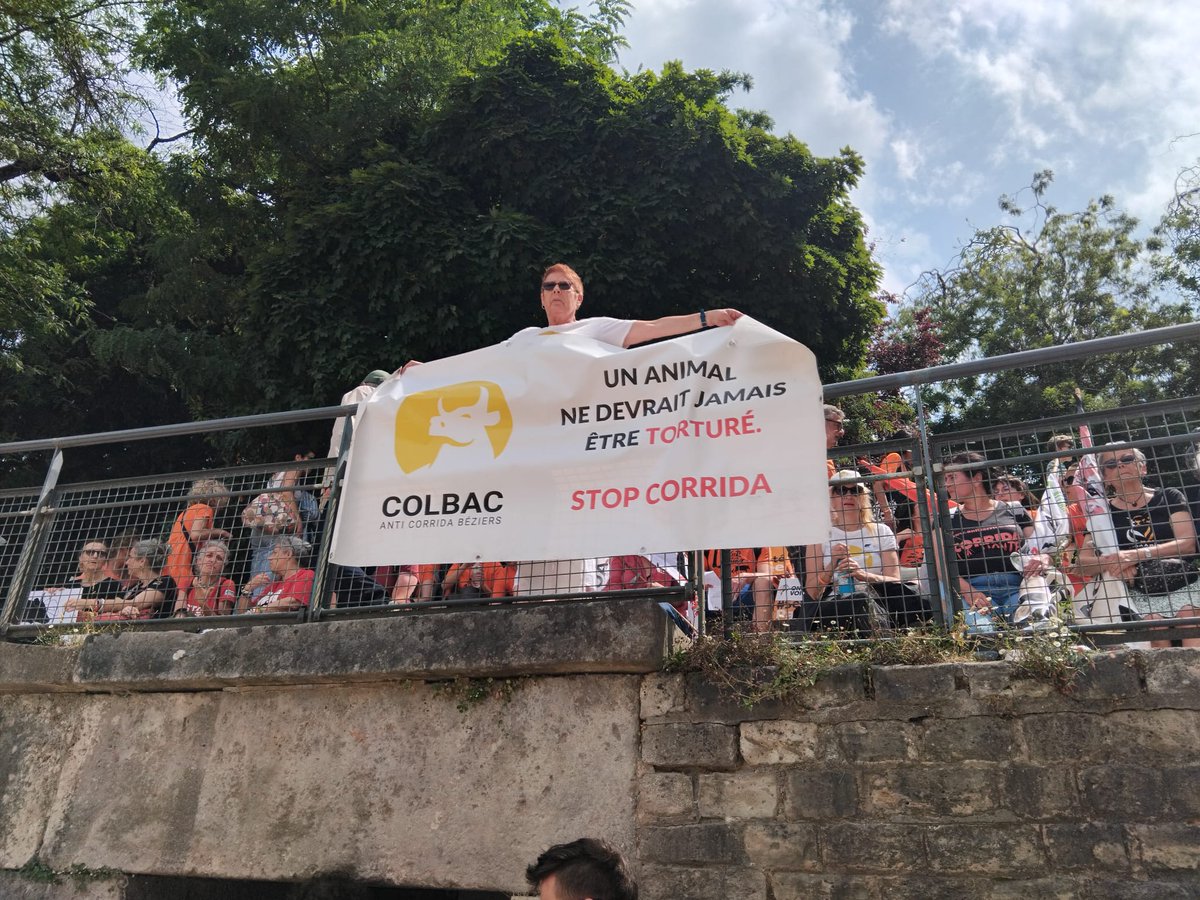CORRIDA ABOLITION 👊
<a href="/HenryJeanServat/">Henry-Jean Servat</a> 
<a href="/MaitreGerard/">Maitre Christophe Gerard</a> 
<a href="/BeziersColbac/">COLBAC Anti Corrida Béziers</a> 
<a href="/CRAC_Europe/">CRAC Europe</a> 
<a href="/CaronAymericoff/">Aymeric Caron</a>