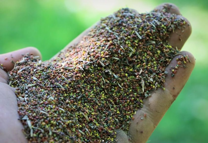 They say money doesn’t grow on trees, but for James Russell, it can grow in the ground 🌾 The fifth-generation farmer has drawn on his banking background to invest his family farms’ future in seed cleaning 🚜 Learn more here: buff.ly/8dJW3t8