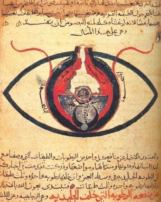 Arabic manuscript, anatomy of the Eye, by al-Mutadibih, 1200 AD #histmed #historyofmedicine #ophthalmology #anatomy #pastmedicalhistory