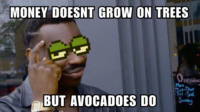 Avo on Solana tweet media