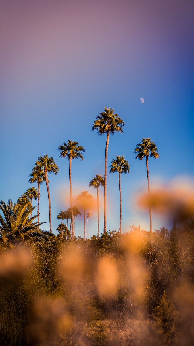 𝖆𝖗𝖙𝖟~𝖓𝖔𝖜 (@artznow_) on Twitter photo 