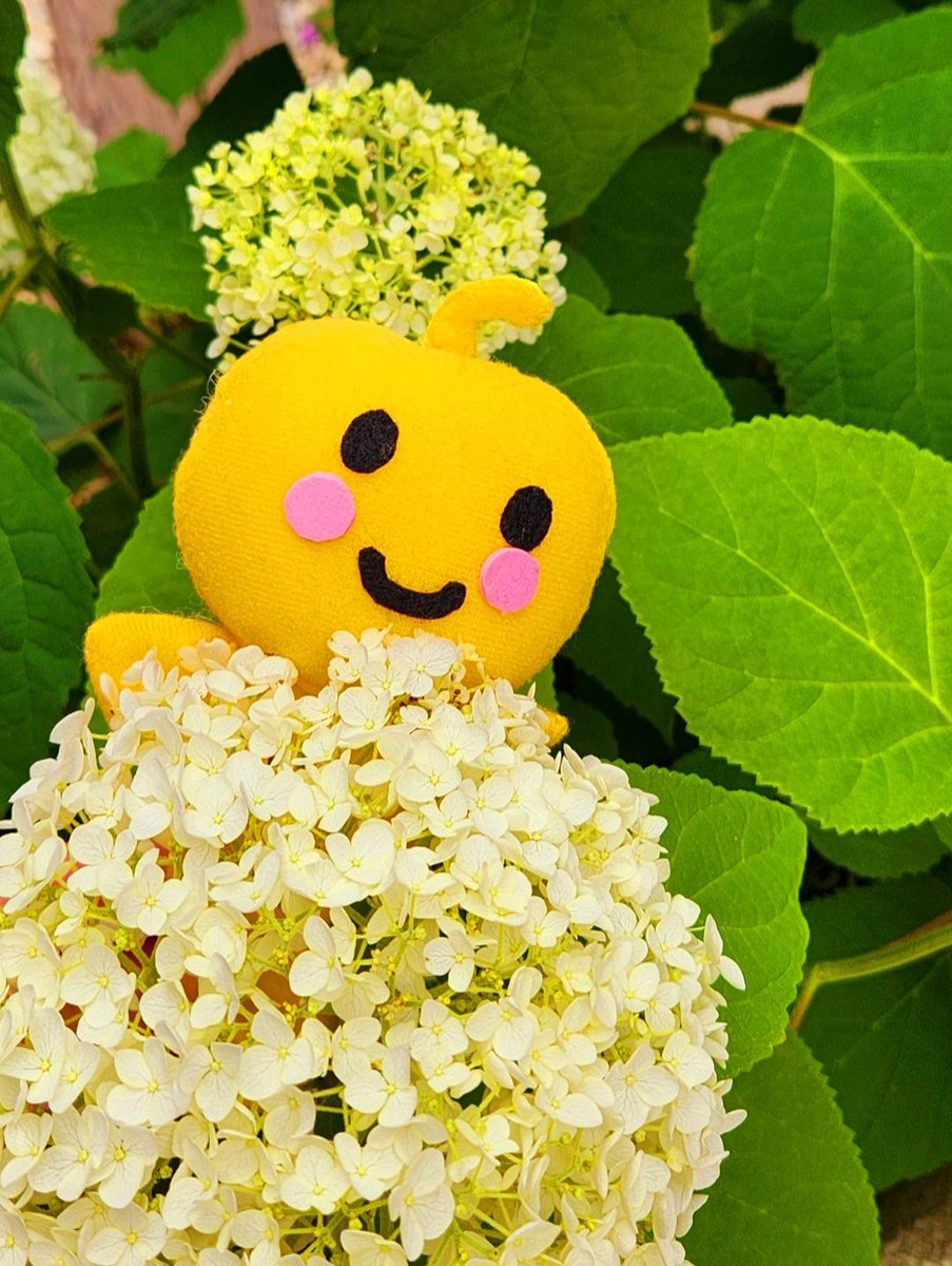 紫陽花ベッド✨

みんな、おはよう🧡

ボクは目が覚めたら

お祈りするよ

「地球ママ、

いつも ありがとう✨」

#地球への感謝の祈り
#MOTHEREarth
#地球ママありがとう
#母なる地球
#生かされている
#地球へ感謝
#感謝
#祈り
#あっぷるちゃん
#感謝の祈りで地球を元気にしよう