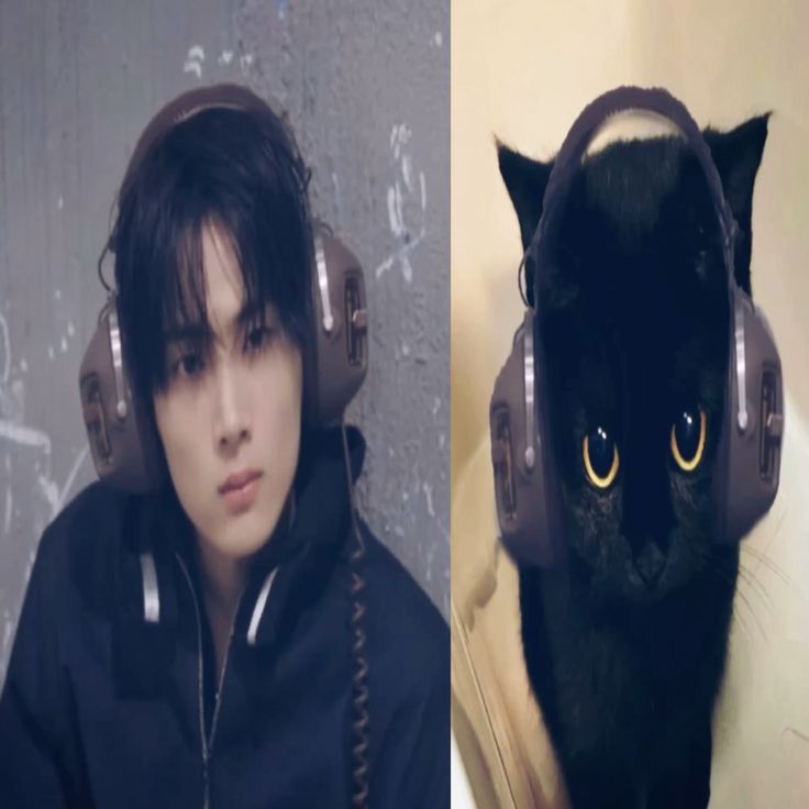 loveissannie's tweet image. ᯓ★ busco mutuals. 

     she  18    ( #kpoptwt  #stantwt )

 ⋆˙ ateez, enhypen y taylor swift 

 ⋆ no importa el fandom mientras respeten a mis favs 

        like y rt para ser mutis :3