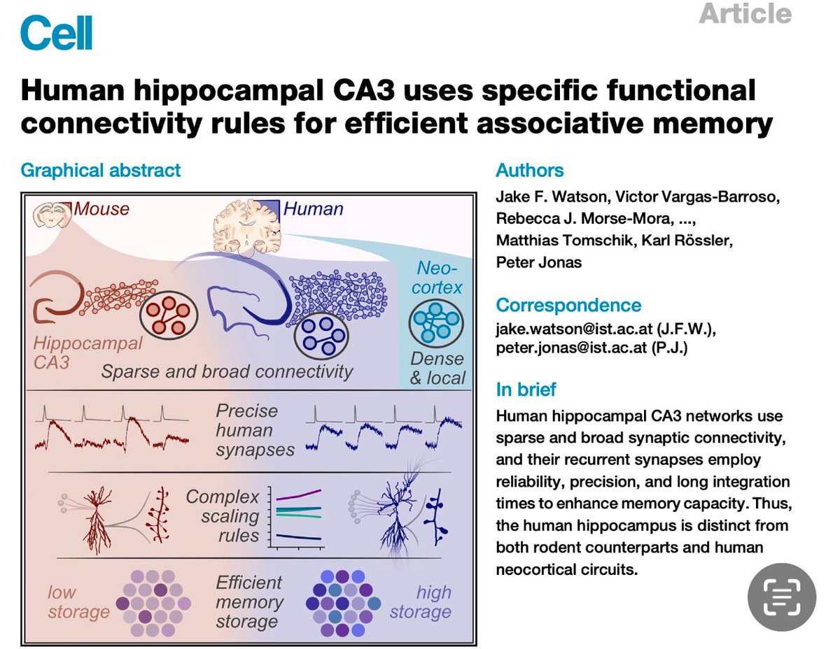Karl Roessler tweet media