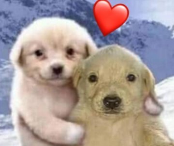 Te quiero mucho papá