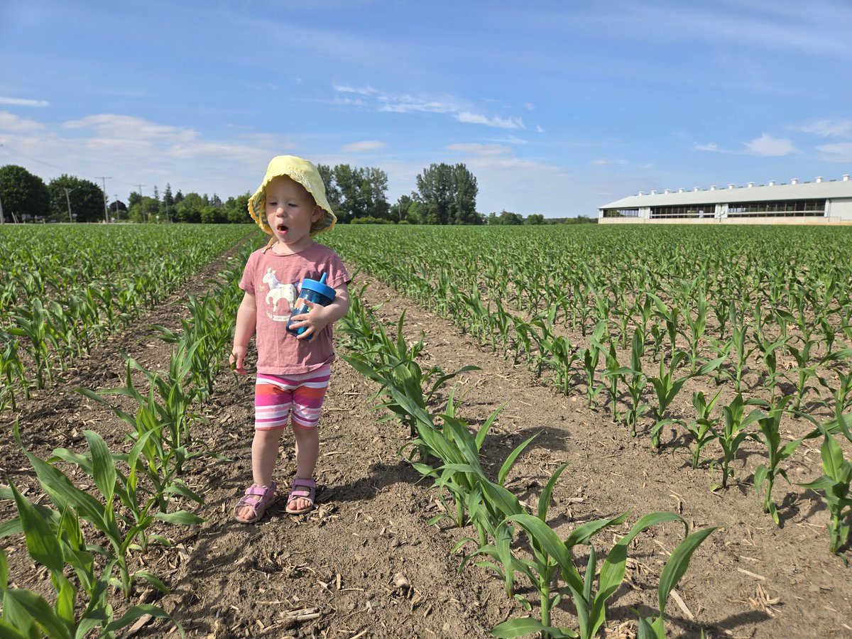 Jeff Martin tweet media