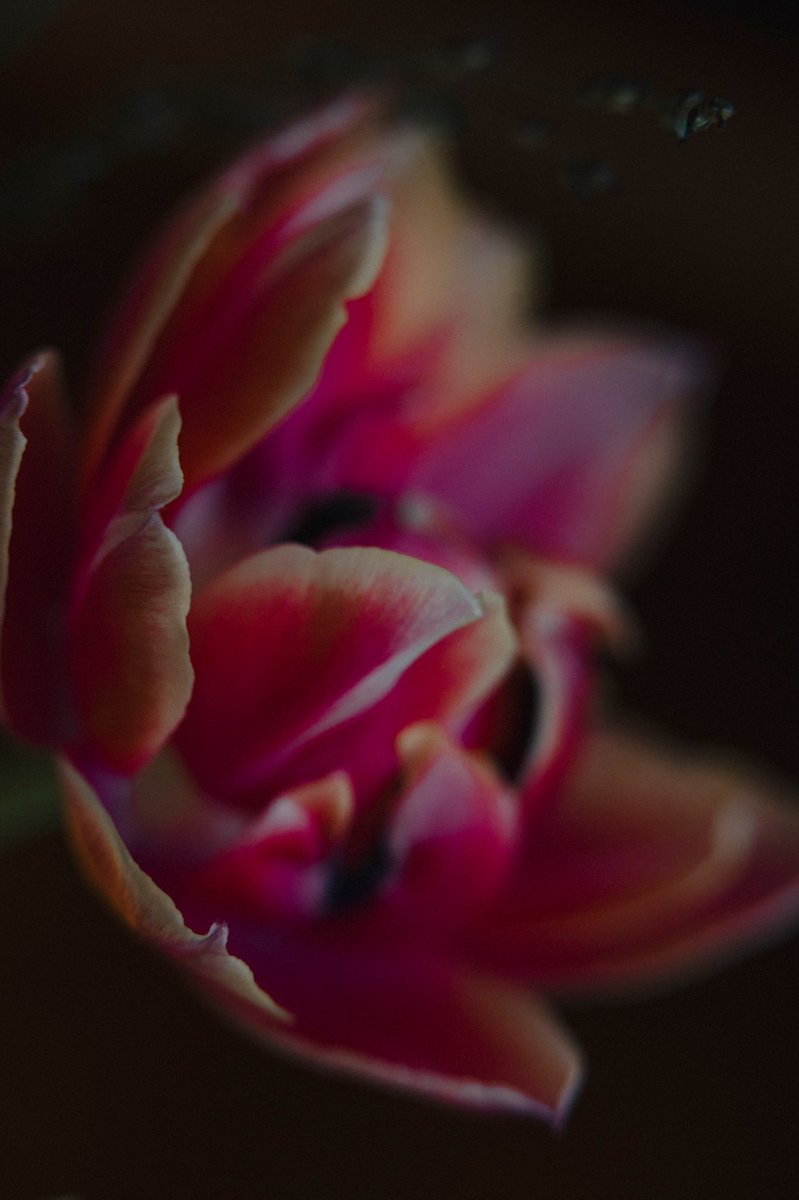 Random 4 you.
#landscape
#Photography #Photo #PhotoSky #StreetPhoto
#BlackAndWhite #HistoricLandmarks #StreetPhotography #UrbanSolitude #SilentMoments #UrbanGeometry #HumanInTheCity