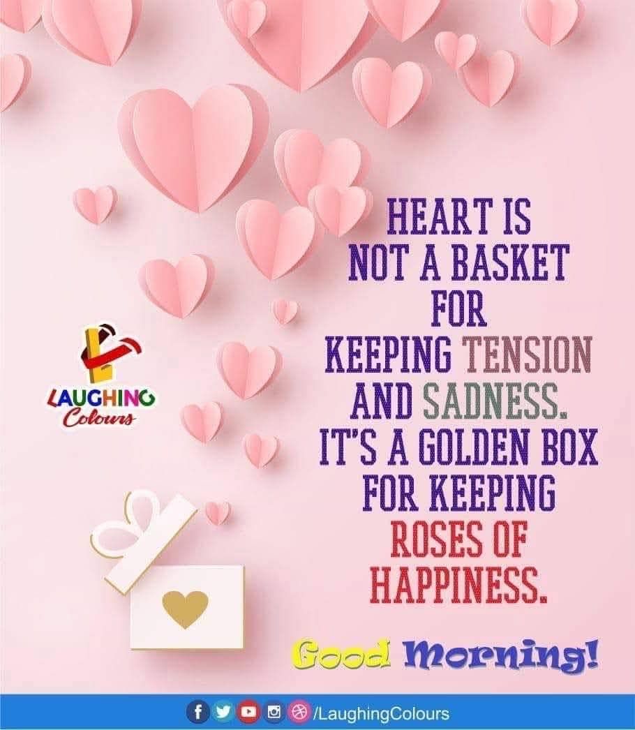 #BOYCOTTEatBulaga1559 
Good Morning TBADN 💚💚💚