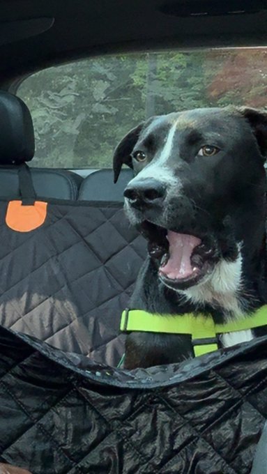 Watch Zoey Taylor's leaked NSFW photo on TwXstars