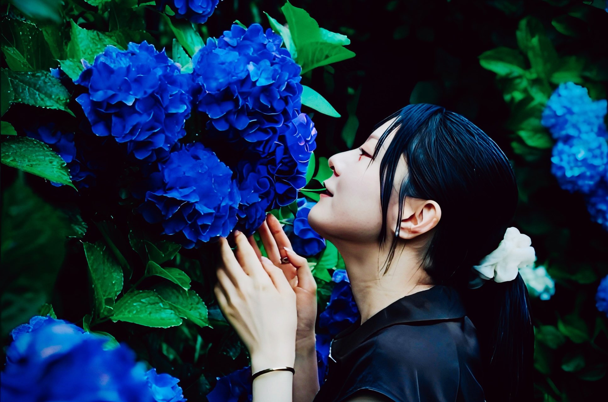 はち🐲 (@hachi2525) / X