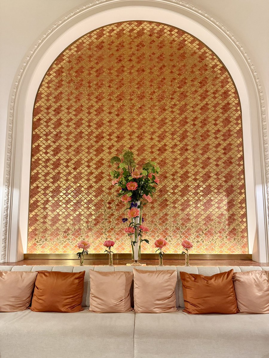 𝕏 🤝🏼 the South of France