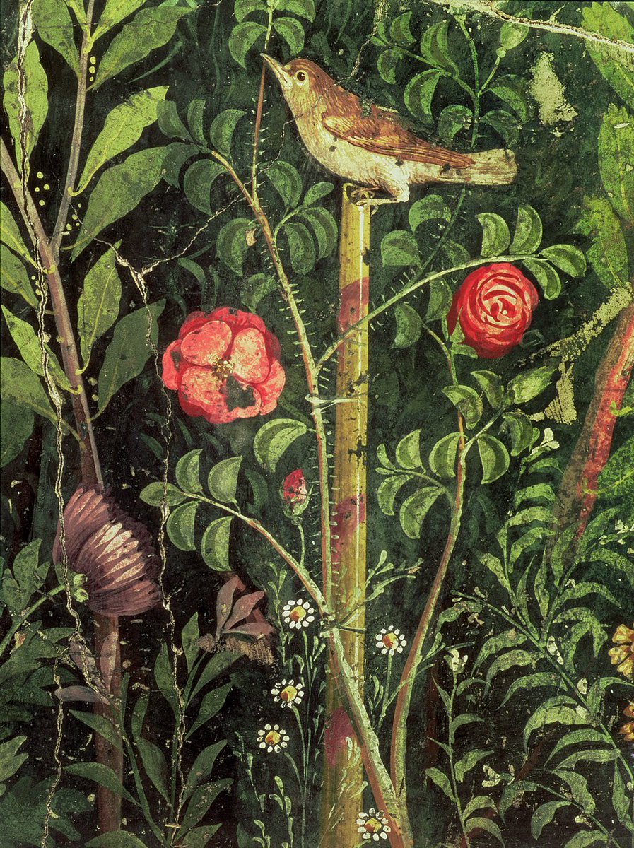 Wall painting of a bird in a garden, Pompeii, 1st century AD