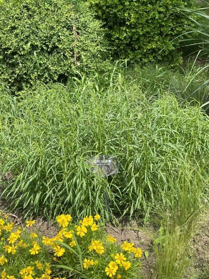 openseatouchgrass #openseatouchgrass
<a href="/opensea/">OpenSea</a>