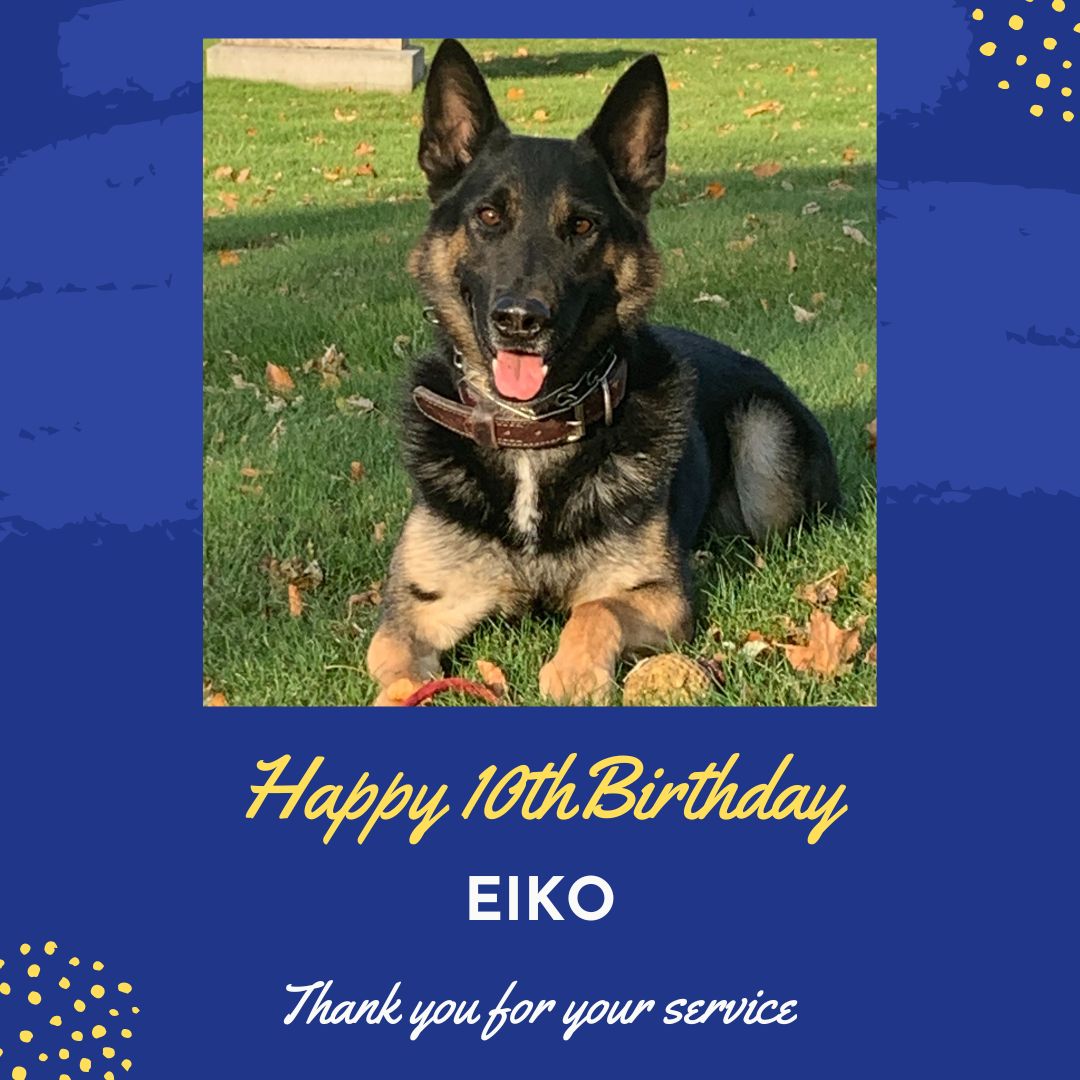 ArlingtonMAPD's tweet image. Happy 10th Birthday to K9 Eiko! Today marks the celebration of a truly extraordinary member of our department, who has served as an invaluable partner to K9 Officer Mike Hogan in safeguarding our community for a decade!
 #ArlingtonMA #K9Eiko #WorkingDog #k9officer