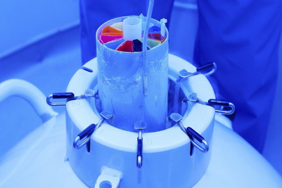 #SemanaIPac / Nace SecrioNet, la red española para impulsar la investigación en criobiología buff.ly/im97yJC