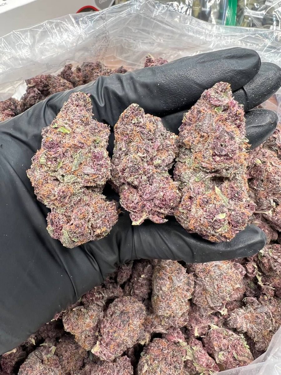 Tropicana Cookies 🌴🍒🍪 
stonies.shop/?ref=STONERS