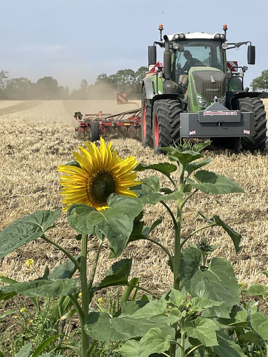 Just finished watching <a href="/JeremyClarkson/">Jeremy Clarkson</a> #clarksonsfarm , superb, showing the highs &amp; stresses of farming &amp; pubbing .My father always says”Enjoy the job for what it is, theres always another year “, thankyou its nice to be appreciated.