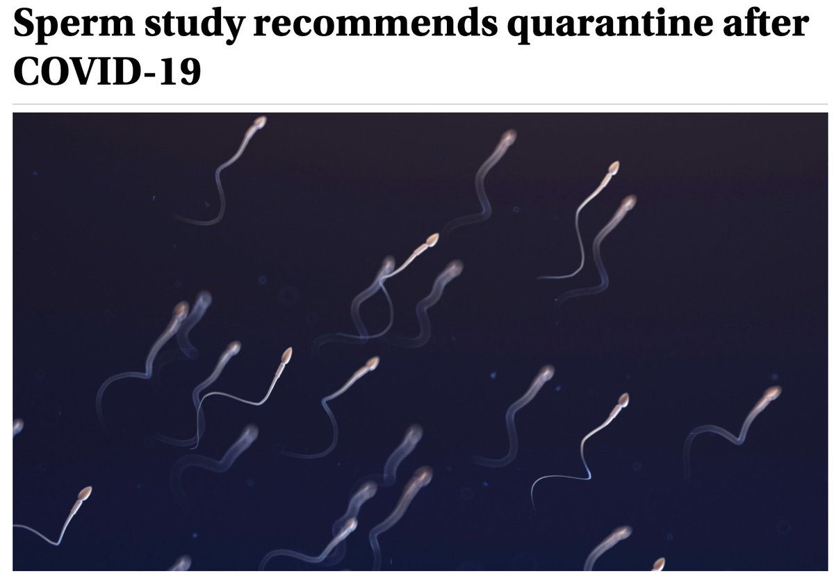 "Researchers have discovered the COVID-19 virus in sperm...

they advocate postponing natural conception and assisted reproductive techniques for up to 6 mos (2 cycles of sperm cell production) after a Covid infection."

cosmosmagazine.com/health/covid/s…