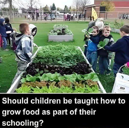 Rainmaker1973's tweet image. Thoughts?