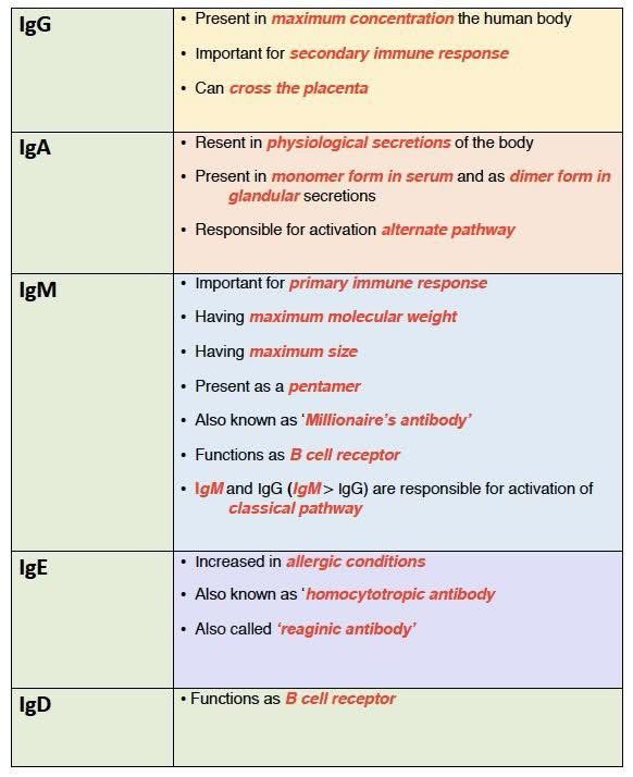 Immunoglobulins