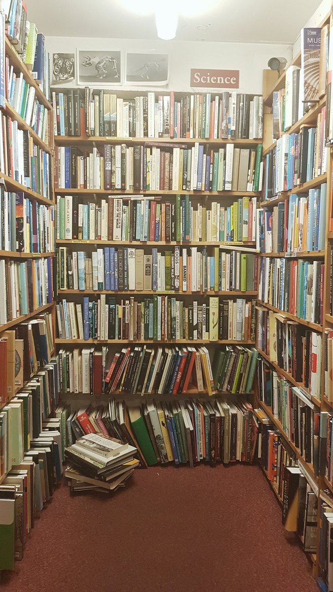 Elena de Astorza tweet media