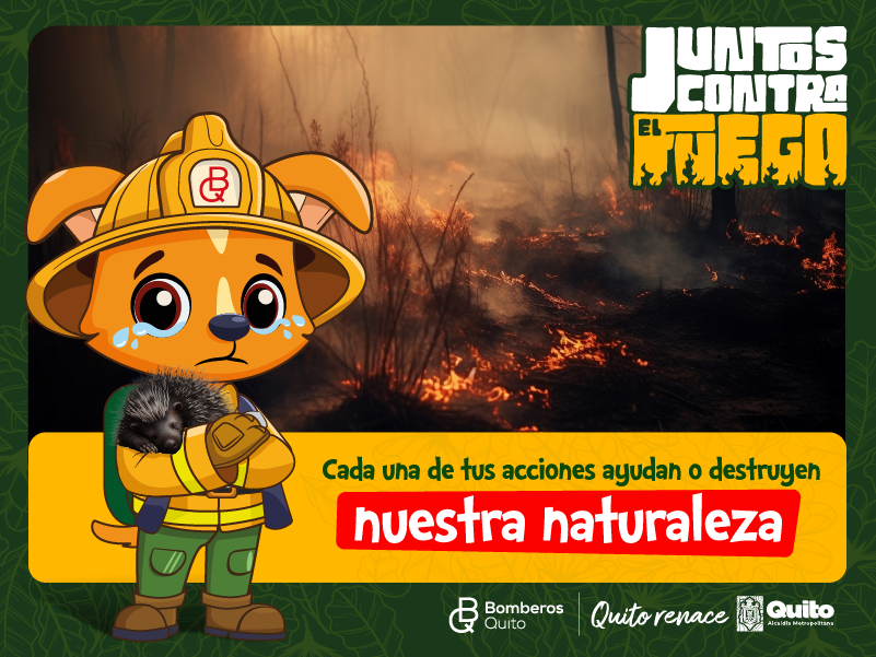 #Campaña  El verano se acerca y con él llegan los incendios forestales. Únete a la campaña “Juntos contra el fuego” de <a href="/BomberosQuito/">Bomberos Quito</a>.  Juntos podemos cuidar de nuestro hogar común y salvar vidas.