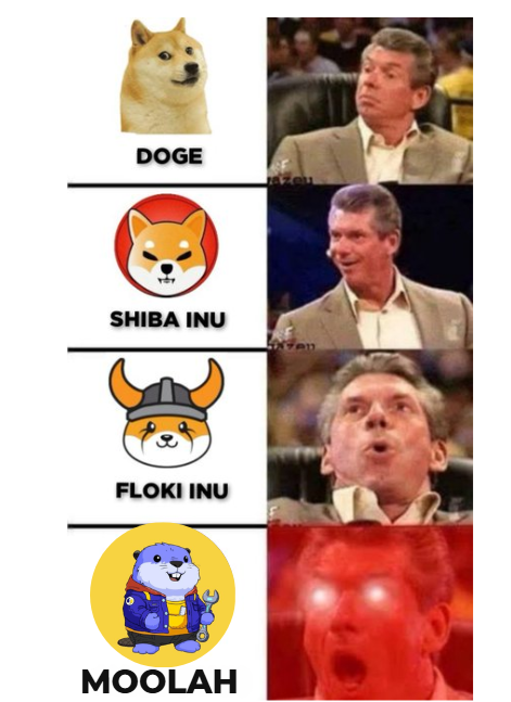 Lovely Crypto🤙 tweet media