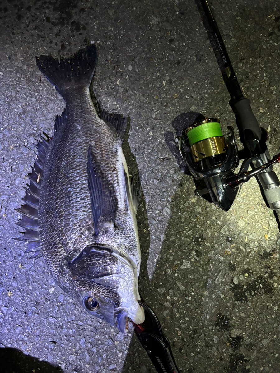 pyonpyonwt's tweet image. 気持ちええんじゃ！