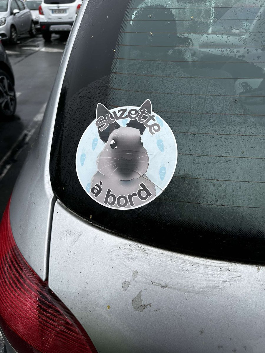 Hi!! 
I finally got my own cricut so I can propose some stickers commissions :D

These are the three examples I can do : I can do stickers for cars or simple use, it’s as you wish! 
You can add my discord (charliedesanta) if you’re interested or DM me here :)
Thanks!