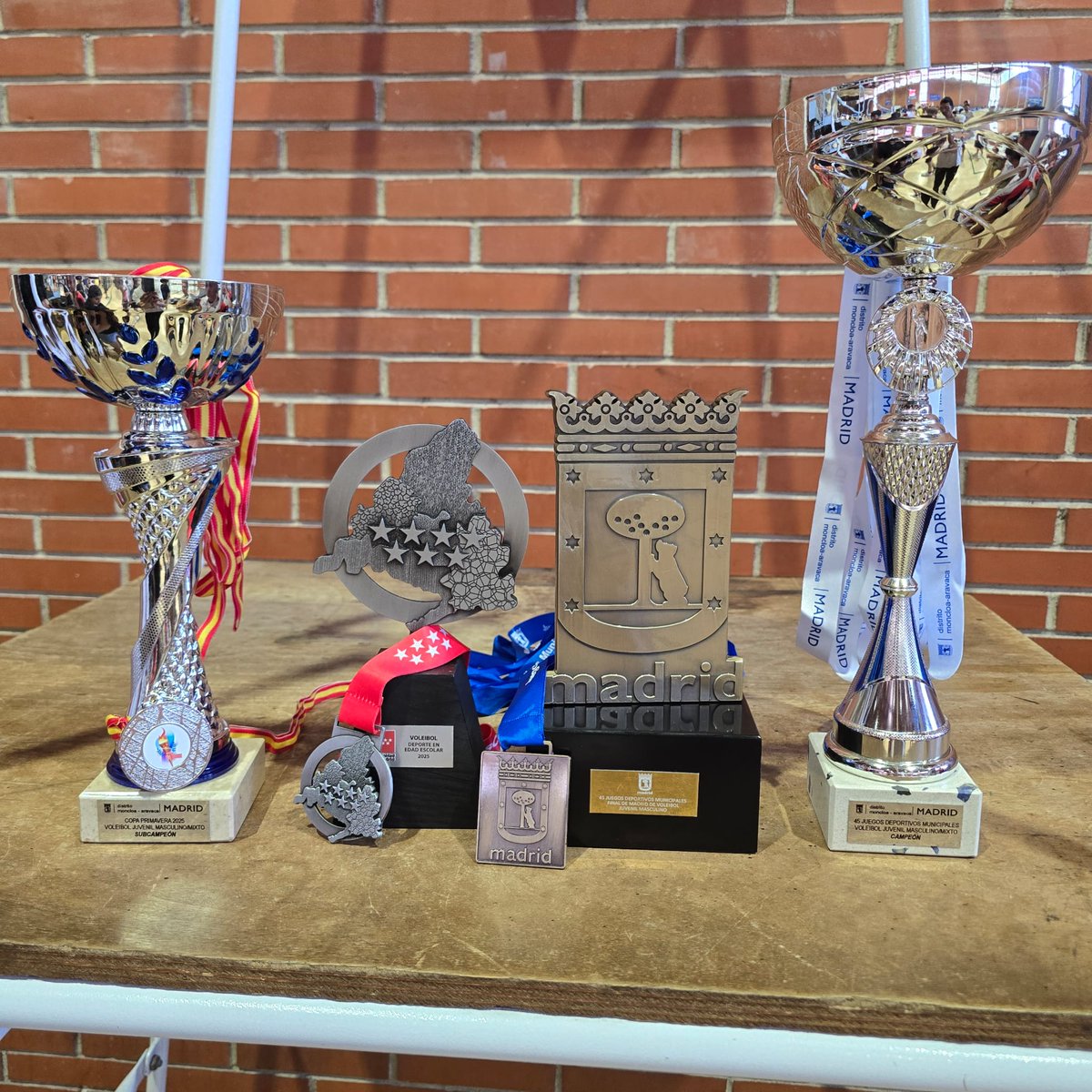 Voleibol USERA tweet media