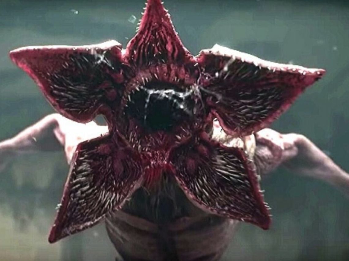 Lorenzo Gallardo (@lor_gallardo) on Twitter photo Me dice la gran <a href="/martabliss/">martabliss 🐾</a> que no me coma un tomate porque está feo y dice que "parece un demogorgon".
La definición del año, chavales😃 Me dice la gran <a href="/martabliss/">martabliss 🐾</a> que no me coma un tomate porque está feo y dice que "parece un demogorgon".
La definición del año, chavales😃