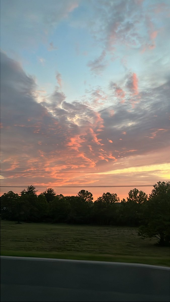 All the vans have left RHS and we are on our way to base camp!🚐🛣️ Early crew is in Colorado and they are getting closer to Chris Park😜🚛 

🌎#summerfieldstudies25🌿