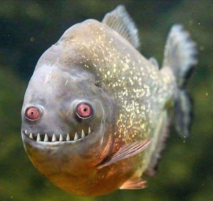 Teściowa Krystyna!! 😁😜