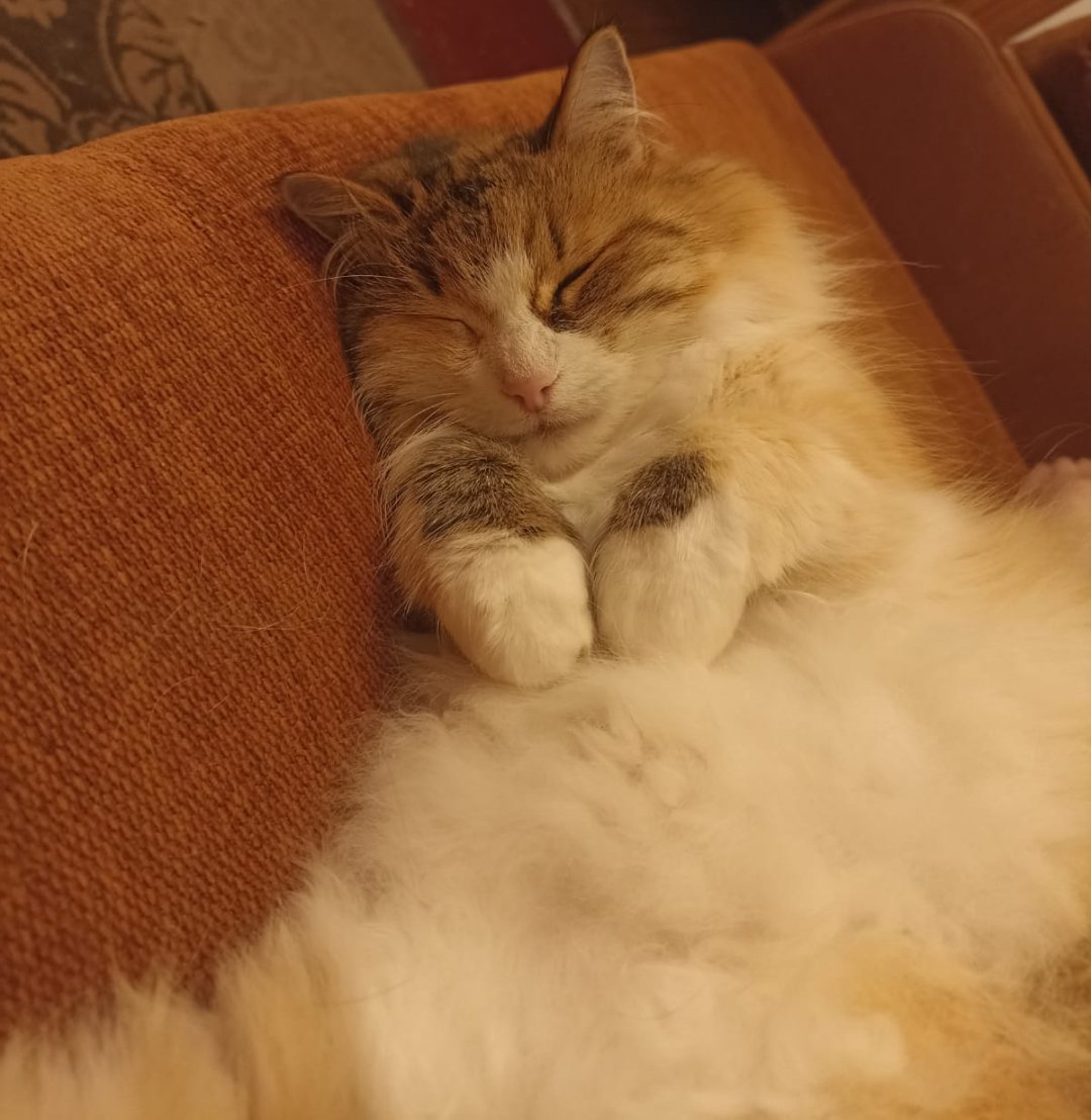 Сладких снов!)