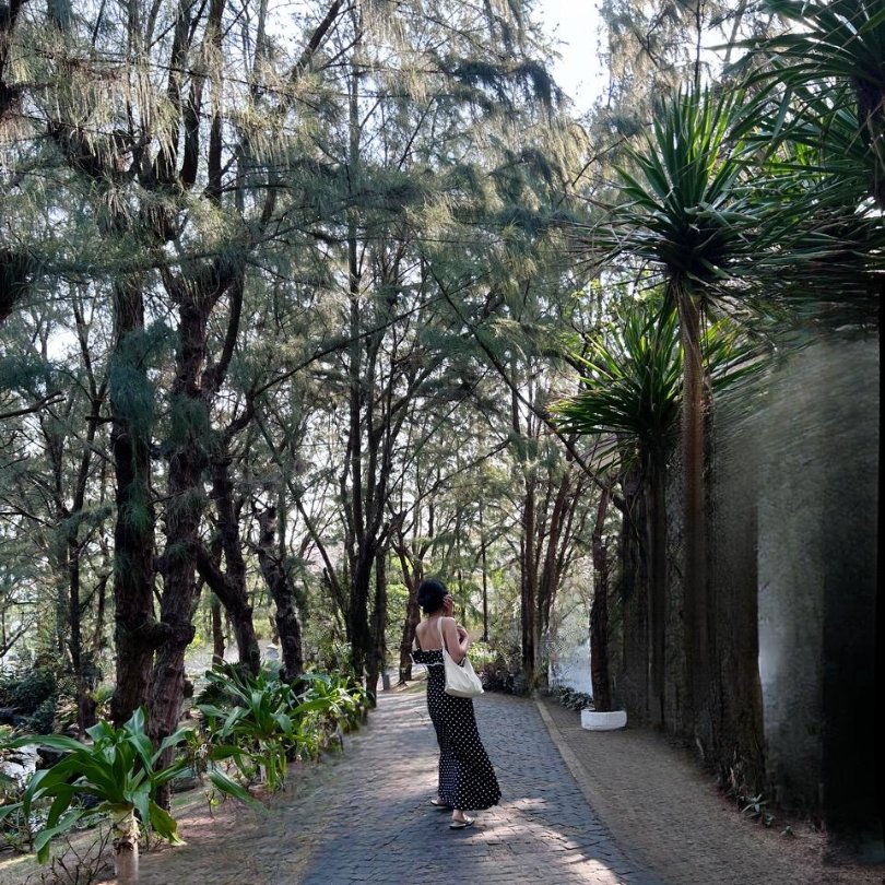 Pé Saa (Tgdd - dmx) tweet media