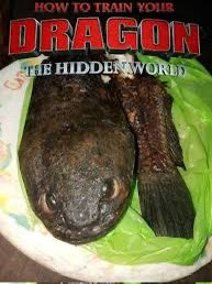How To Train Your Dragon เขี้ยวกุดโดนเล่นงานแล้ว