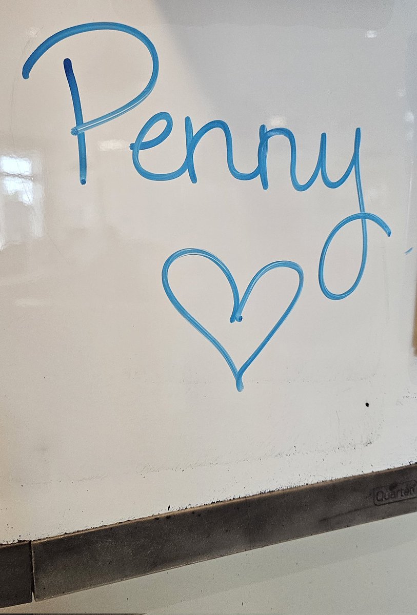 CanadianBlackBear🇨🇦 (CanadianPenny🌈) tweet media