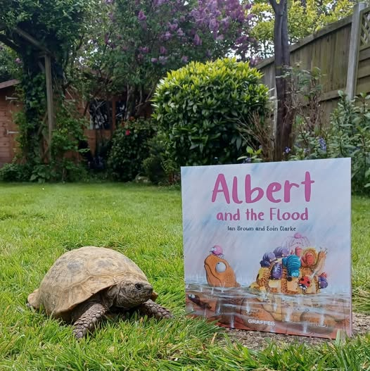 AlbertTortoise's tweet image. Big #rain causes #chaos at the #GardenGames. #Teamwork is needed by Albert and his pals. See more in #ALBERTthetortoise #picturebook ALBERT AND THE FLOOD. #AvailableNow with 7 more ALBERT picturebooks, 3 #BoardBooks &amp;amp; #ActivityBook Alberttortoise.com
#flood #story #tortoise