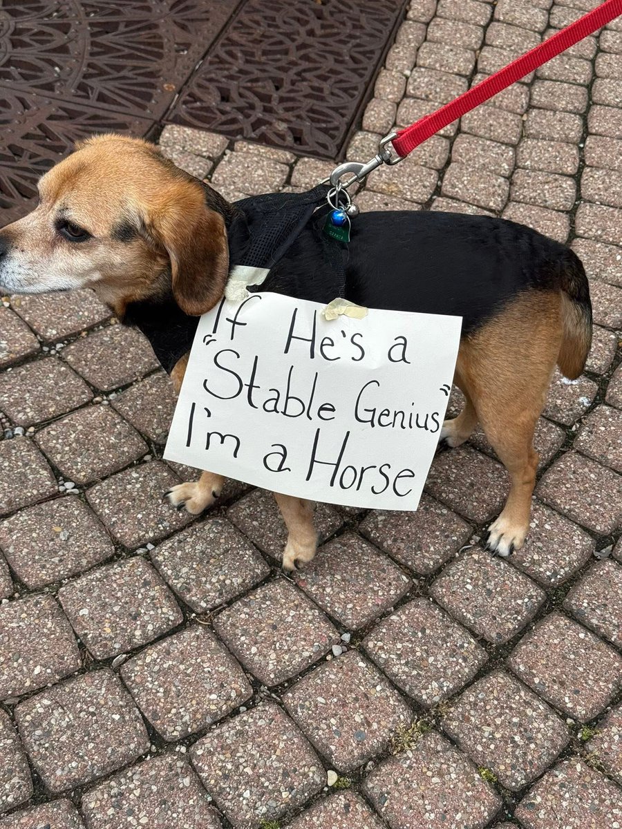 tipofthemitt00's tweet image. 