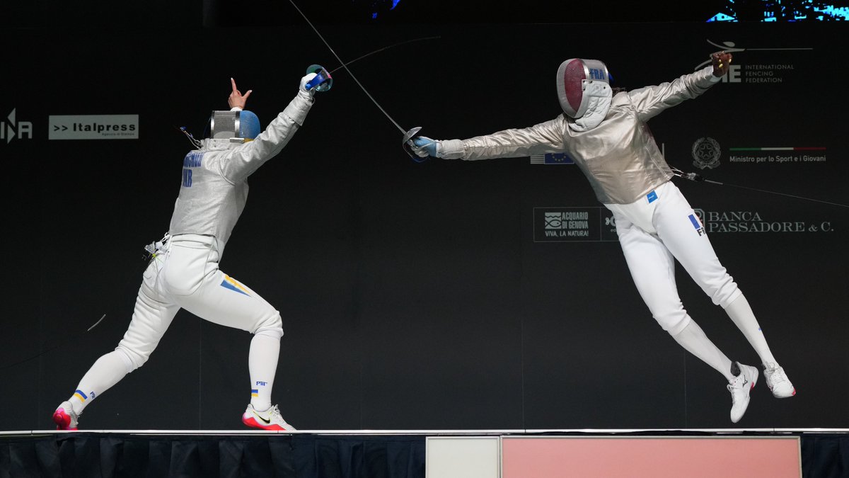 Fencing tweet media