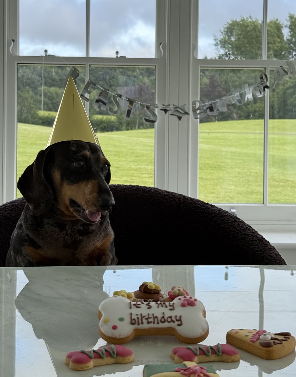 BenPhillipsUK's tweet image. Happy 7th birthday Beast! 🐶