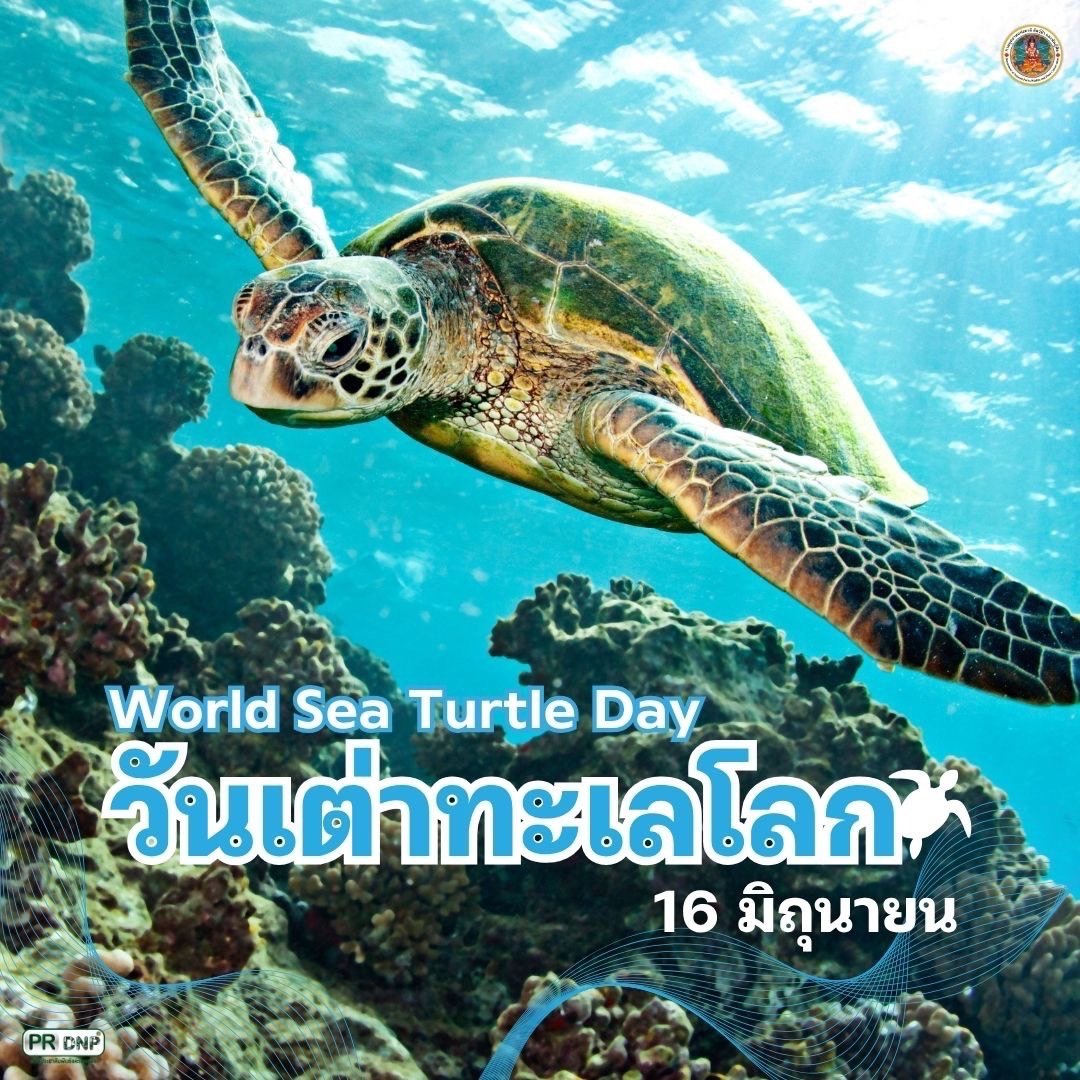 16 มิถุนายน วันเต่าทะเลโลก (World Sea Turtle Day) เพื่อตระหนักถึงความสำคัญของการอนุรักษ์เต่าทะเล ซึ่งกำลังเผชิญกับภัยคุกคามมากมาย ทั้งกิจกรรมของมนุษย์ และการเปลี่ยนแปลงสภาพภูมิอากาศ

#กรมอุทยานแห่งชาติสัตว์ป่าและพันธุ์พืช #วันเต่าทะเลโลก #WorldSeaTurtleDay