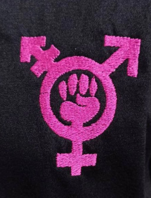 1/🧵 ¿Qué es el transfeminismo y por qué no lo somos?
Se presenta como una ampliación del feminismo. Pero desde el feminismo radical y materialista, lo que hace no es ampliar, sino distorsionar.
Vamos con un hilo explicativo 👇