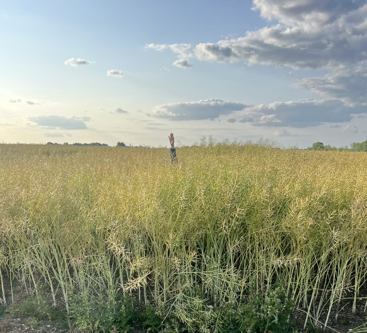 We’ve got some monster OSR this year! Almost like a forest 😆