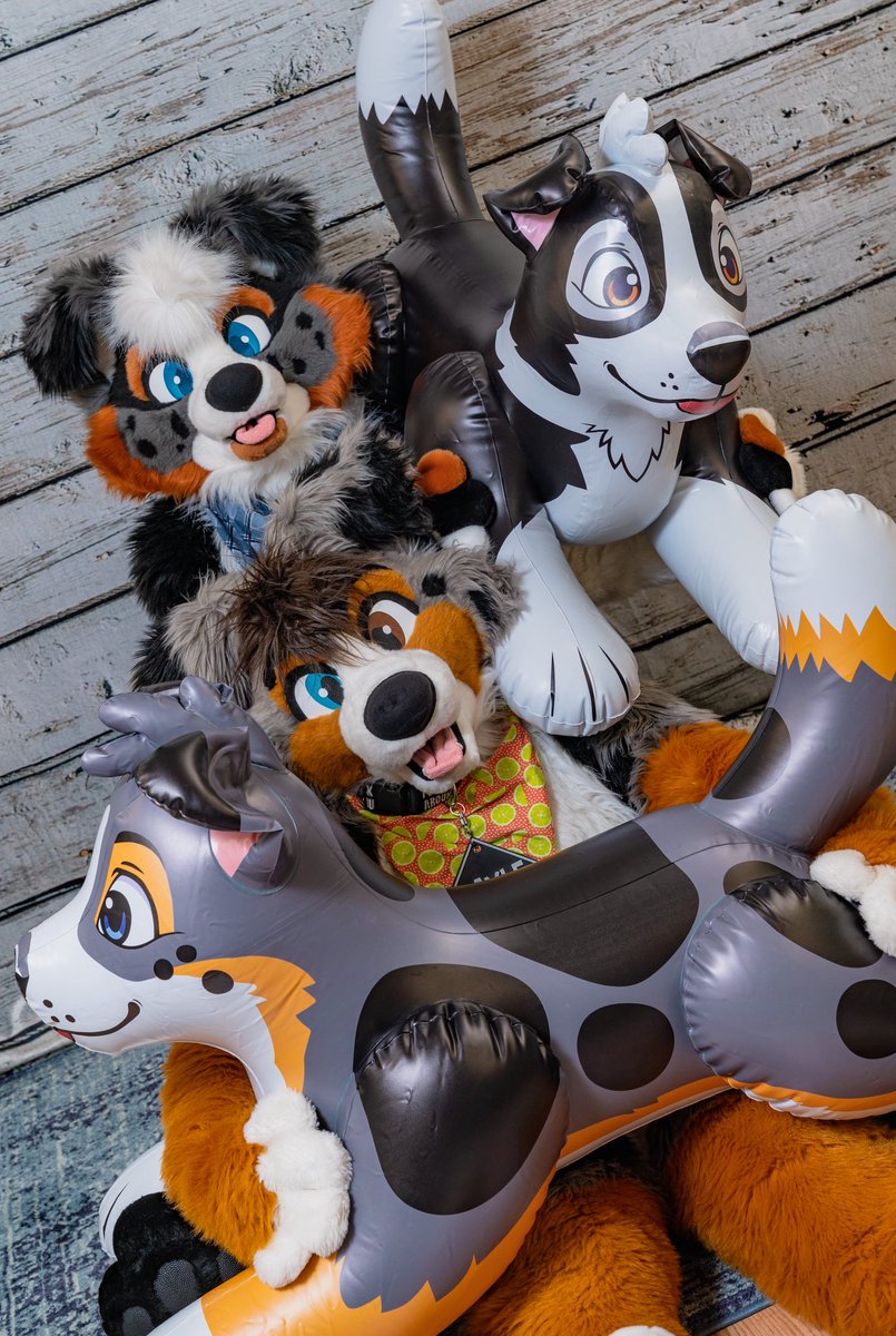 Briar 🐑 (@briarcollie) on Twitter photo What’s better than two floppy ear dogs? How about FOUR!?….but make two of them inflatable, soft, and squeaky 👀
Absolutely in love with these new squeaky doggies being developed by the talented team at <a href="/mixedcandy/">Mixedcandy Inc</a> for <a href="/SoftCandyToys/">SoftCandyToys</a>
Better late than never entry for What’s better than two floppy ear dogs? How about FOUR!?….but make two of them inflatable, soft, and squeaky 👀
Absolutely in love with these new squeaky doggies being developed by the talented team at <a href="/mixedcandy/">Mixedcandy Inc</a> for <a href="/SoftCandyToys/">SoftCandyToys</a>
Better late than never entry for