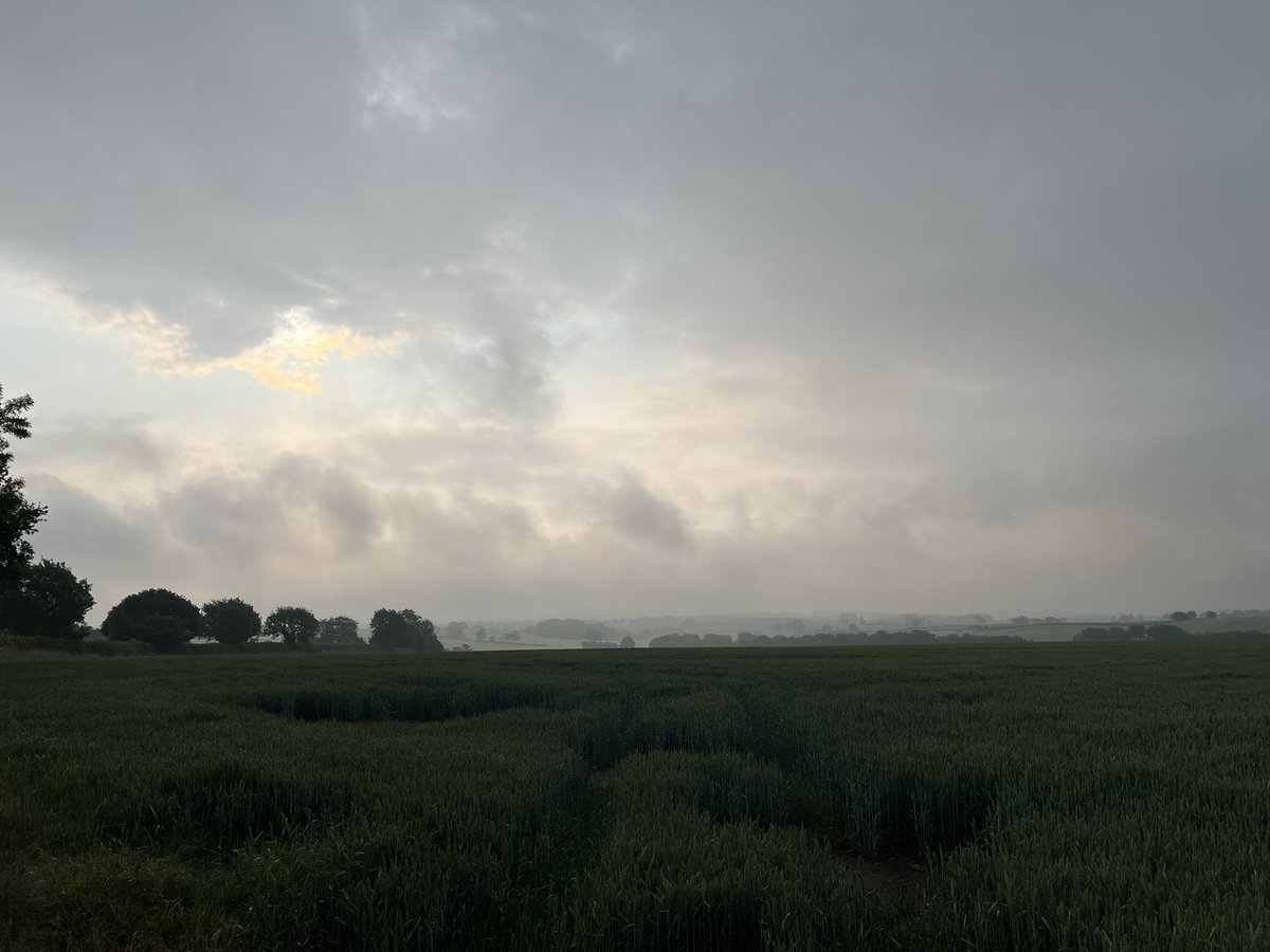 wilkoloopylu's tweet image. #NHS1000miles week 24 for 2025
Walk 🚶‍♀️10.83 miles 
Run 🏃🏻‍♀️ 25.03 miles
Total 35.86 miles 
YTD 916.90 miles 
A busy week at work and a full on weekend