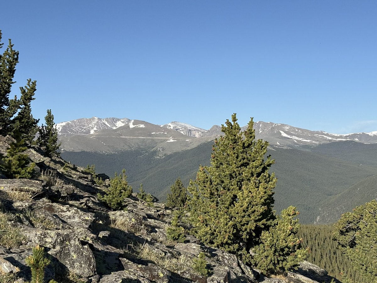 Maseroho's tweet image. More of my happy place!