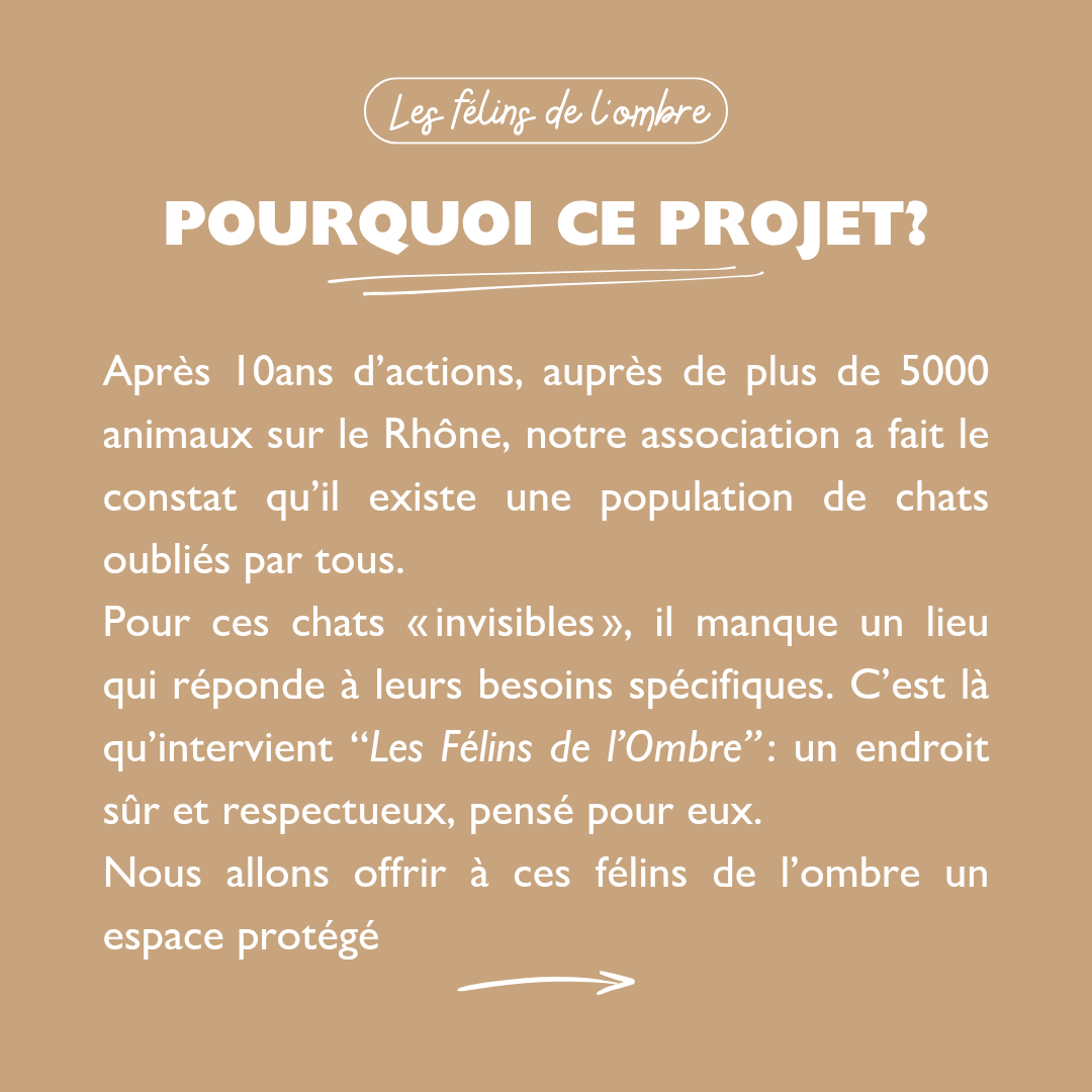 CroquettesFixes's tweet photo. 🐾 Pour nos 10 ans d’actions, nous lançons un projet :
LES FÉLINS DE L'OMBRE 

➡️ Découvrez le projet en détail ici mais surtout sur notre lien linktree en bio !

Et soutenez-nous grâce à nos 2 cagnottes participatives

#LesFélinsDeLOmbre #ChatsVulnérables #ProtectionAnimale https://t.co/4zTtQokM3B