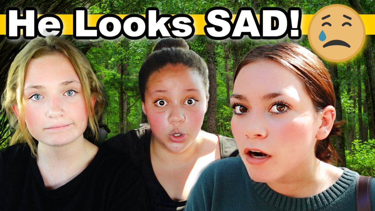 CrazyMiddles's tweet photo. New Vlog! We found the saddest animal! https://t.co/byledKmt5B https://t.co/ZZoUXY2t6o